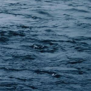 美女被插色哟哟
